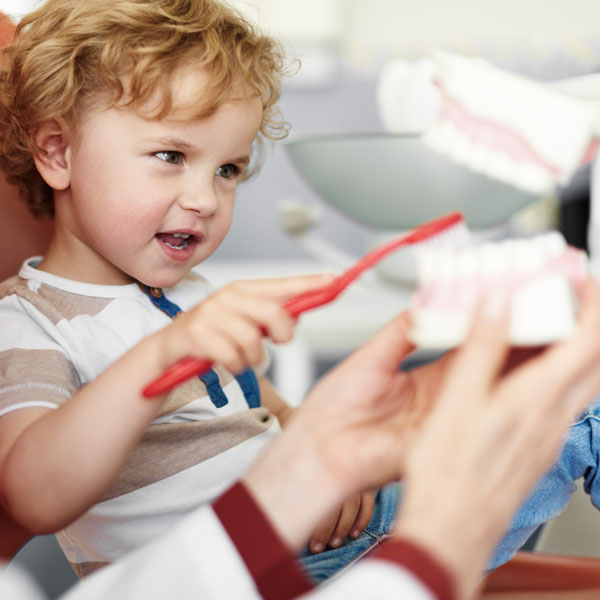 little boy practicing brushing on a model of teeth